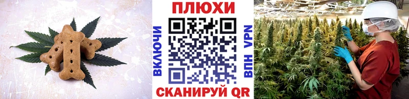 Canna-Cookies марихуана  купить  сайты  Никольское 
