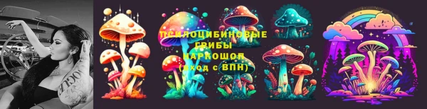 МДПВ Абинск