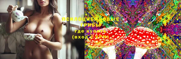 прущий лед Алексеевка