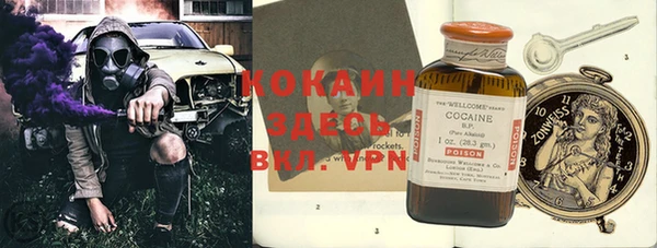 ешки Алексин